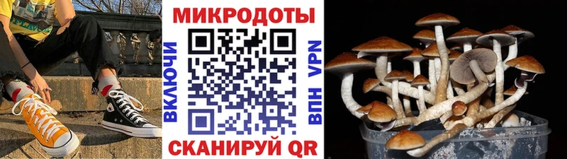 Галлюциногенные грибы ЛСД  Суоярви 
